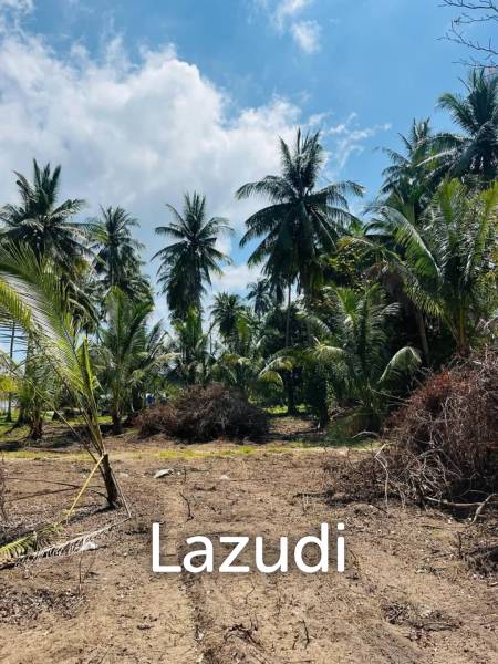 Hot Priced Flat Land 500m to the Beach in Hua Thanon