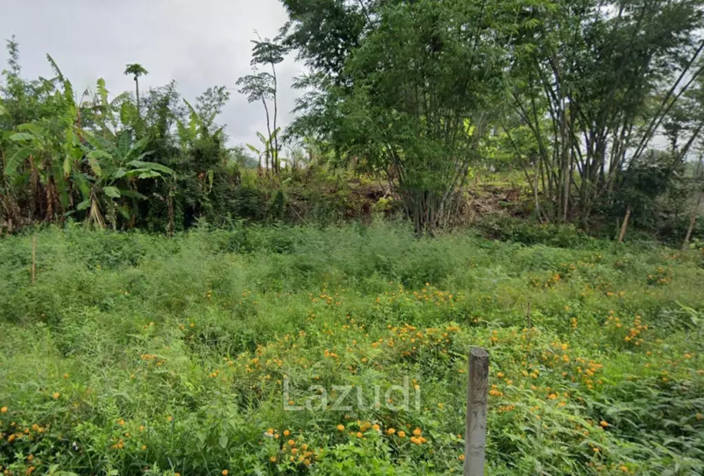 ขายที่ดิน 2 ไร่ วิวสวยใกล้กับถนนเส้นเวียงป่าเป้า-เชียงใหม่