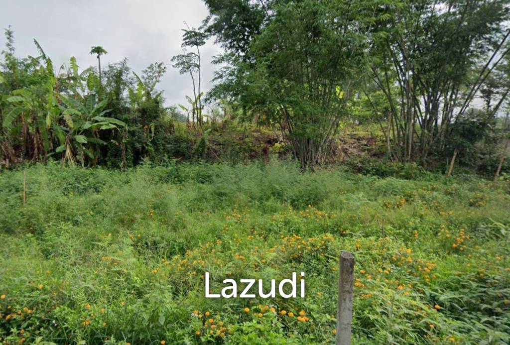 2 Rai Land for Sale with views near the road to Chiang Mai.