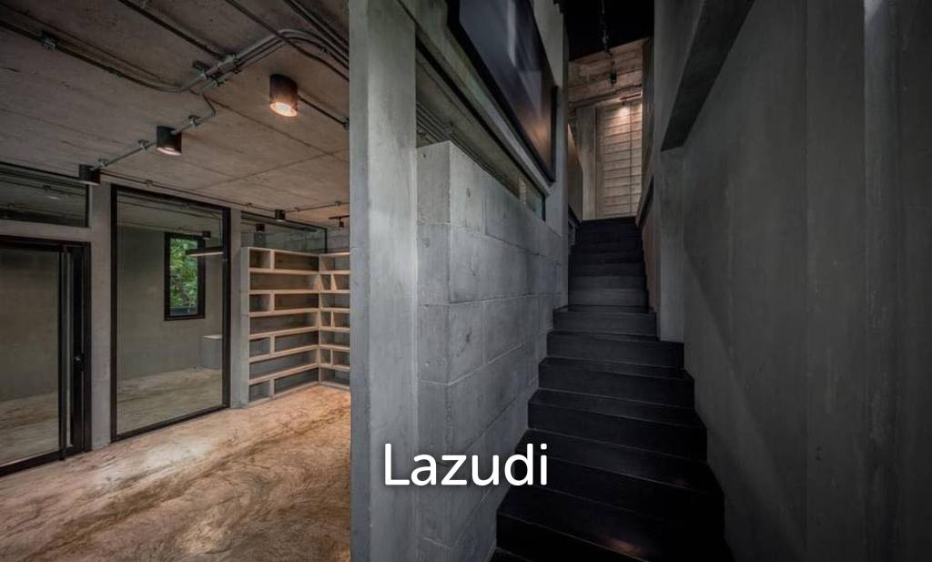 Modern Industrial Townhouse in Chan Kasem Bangkok