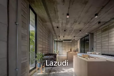 Modern Industrial Townhouse in Chan Kasem Bangkok
