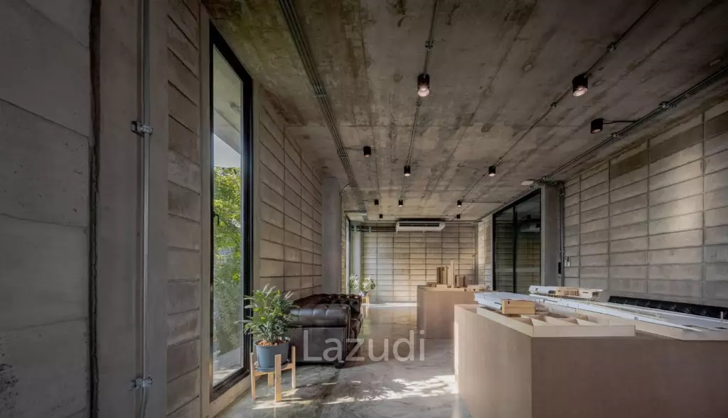 Modern Industrial Townhouse in Chan Kasem Bangkok