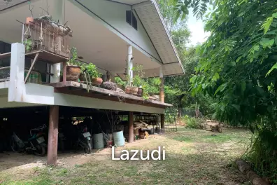 Great Investment Opportunity – Two Houses in 1 Rai, Freehold Ownership