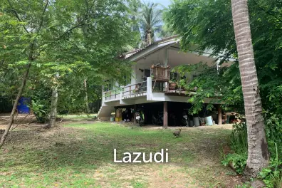 Great Investment Opportunity – Two Houses in 1 Rai, Freehold Ownership