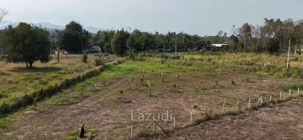 1.5 Rai Land for sale in Huai Sai, Mae Rim