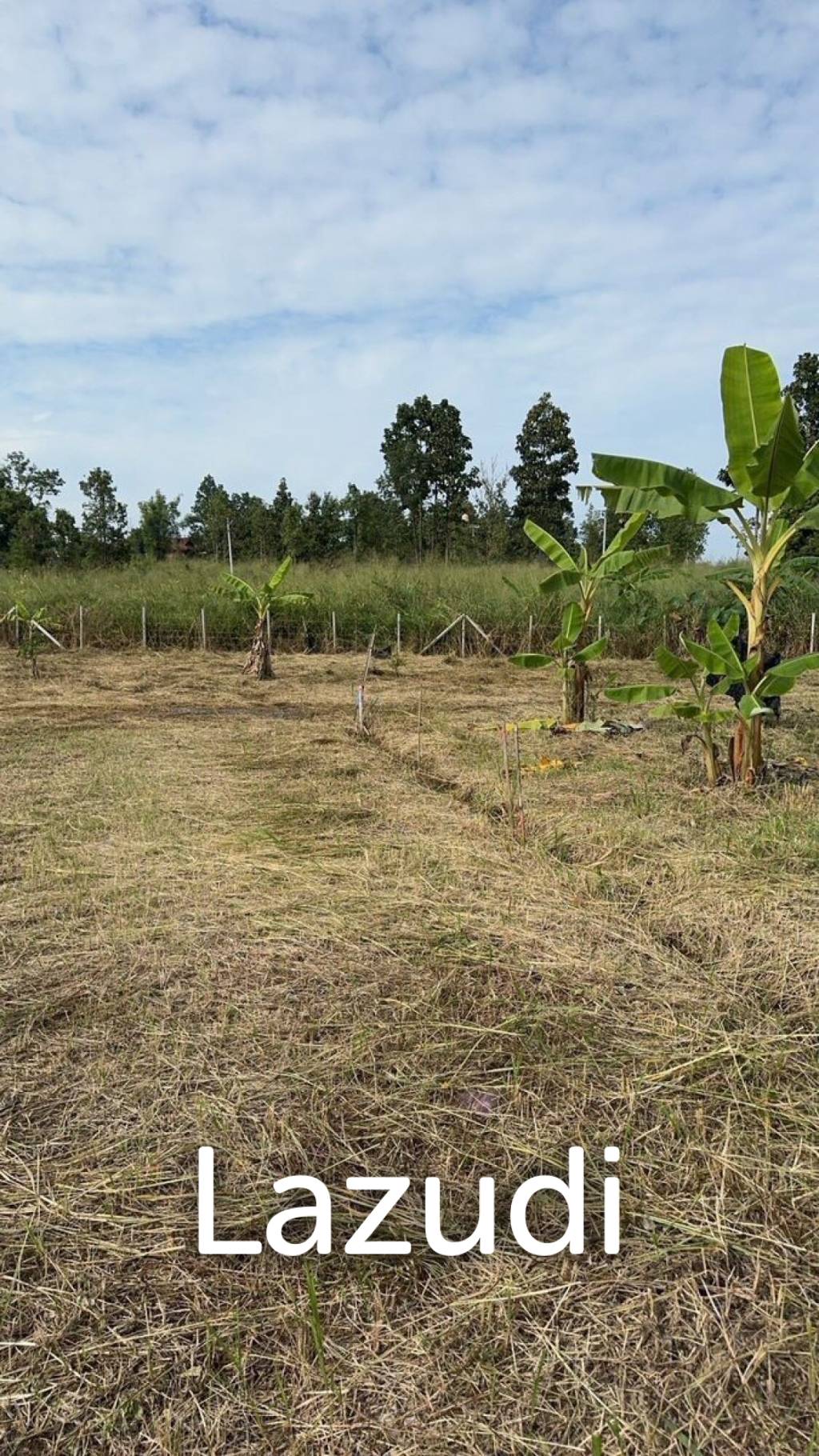 1 Rai Land For Sale with Mountain View at Mae Rim