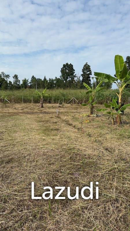 1 Rai Land For Sale with Mountain View at Mae Rim