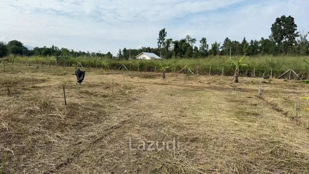 1 Rai Land For Sale with Mountain View at Mae Rim