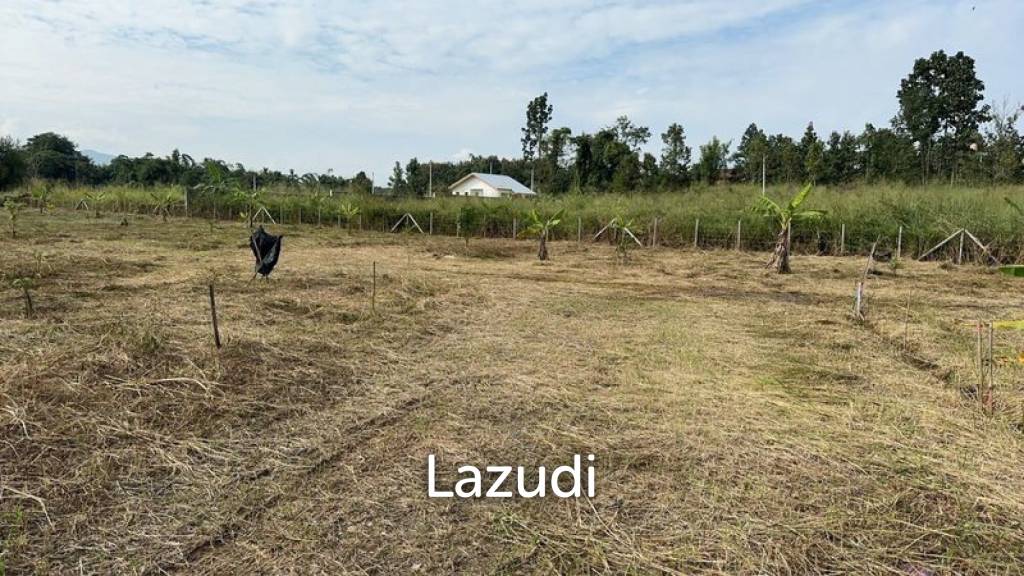 1 Rai Land For Sale with Mountain View at Mae Rim