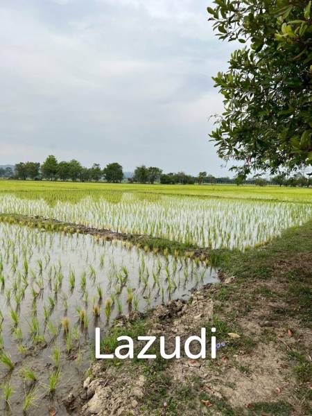 13 Rai Land for Sale, Rice field and Mountain view in San Pong