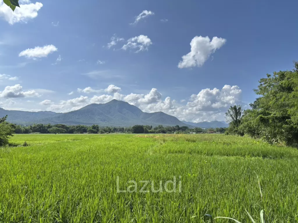 47 Rai with Mountain Views at Mae On. All title deeds!