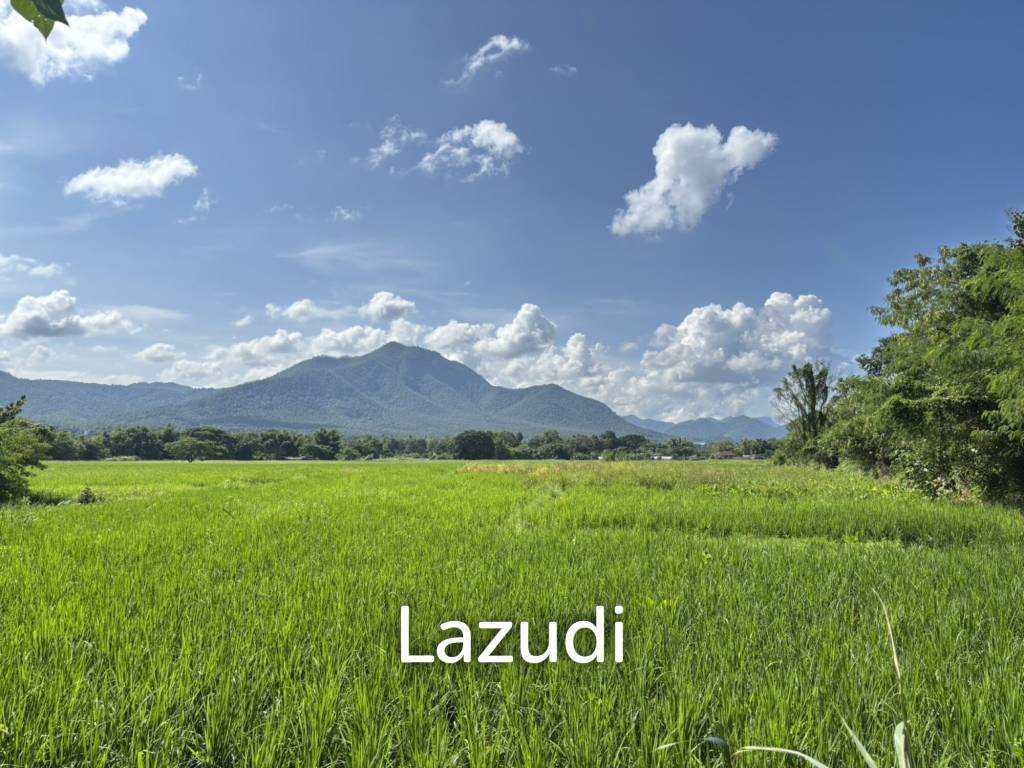 47 Rai with Mountain Views at Mae On. All title deeds!