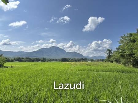 47 Rai with Mountain Views at Mae On. All title deeds!