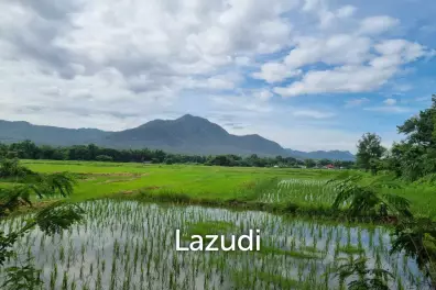 ขายที่ดิน 47 ไร่ท่ามกลางวิวภูเขาในอ.แม่ออน มีโฉนดทั้งหมด!