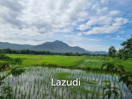 47 Rai with Mountain Views at Mae On. All title deeds!