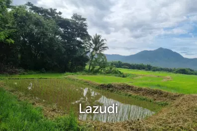 ขายที่ดิน 47 ไร่ท่ามกลางวิวภูเขาในอ.แม่ออน มีโฉนดทั้งหมด!