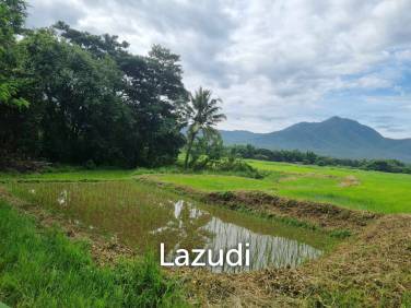 47 Rai with Mountain Views at Mae On. All title deeds!