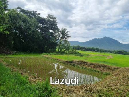 47 Rai with Mountain Views at Mae On. All title deeds!