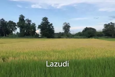 ขายที่ดิน 2 ไร่ วิวภูเขาใกล้มหาวิทยาลัยราชภัฏ แม่ริม