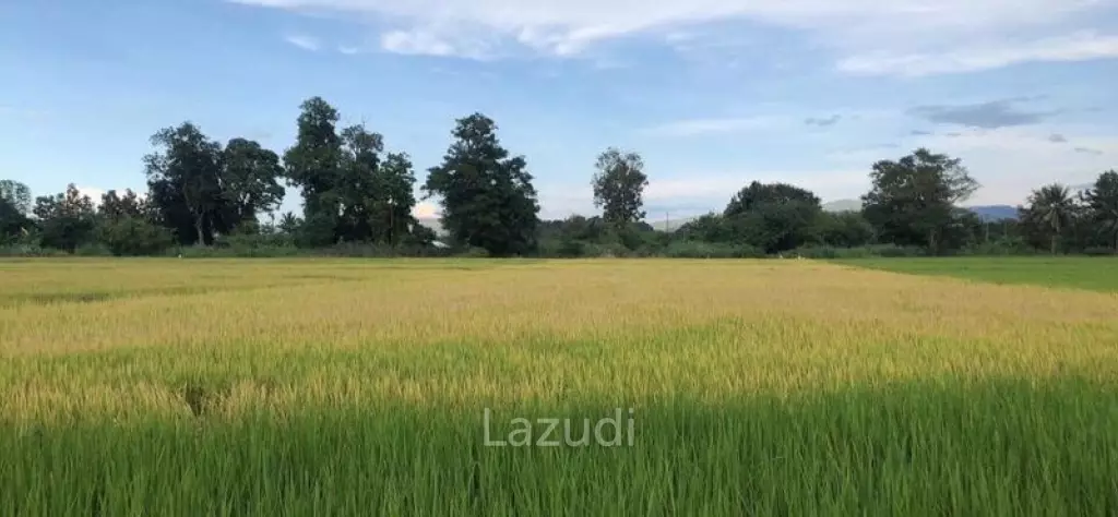 2 Rai Land for Sale near Rajabhat University Mae Rim.