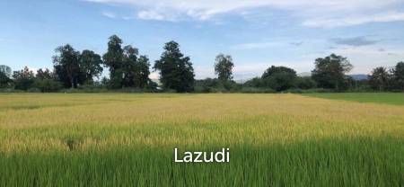 2 Rai Land for Sale near Rajabhat University Mae Rim.