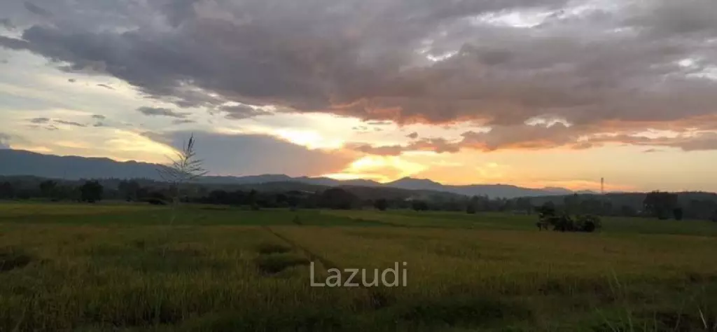 2 Rai Land for Sale near Rajabhat University Mae Rim.
