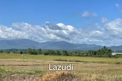 ขายที่ดิน 2 ไร่ วิวภูเขาใกล้มหาวิทยาลัยราชภัฏ แม่ริม