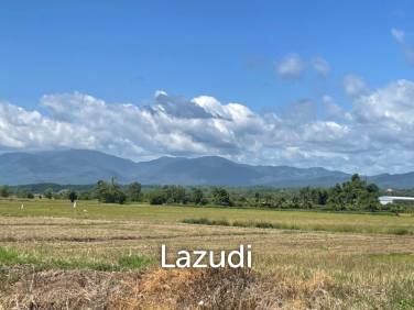 2 Rai Land for Sale near Rajabhat University Mae Rim.