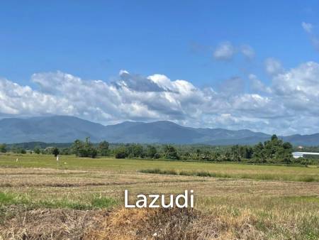 2 Rai Land for Sale near Rajabhat University Mae Rim.