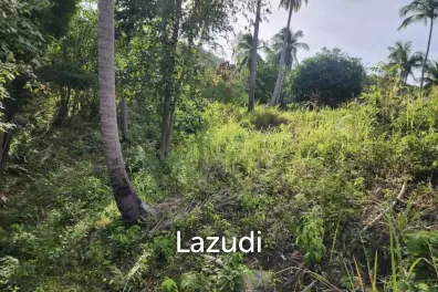 Exceptional Beachfront Land – Koh Phangan Private Sandy Beach