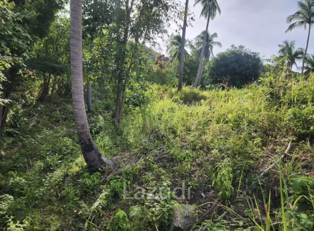 Exceptional Beachfront Land – Koh Phangan Private Sandy Beach