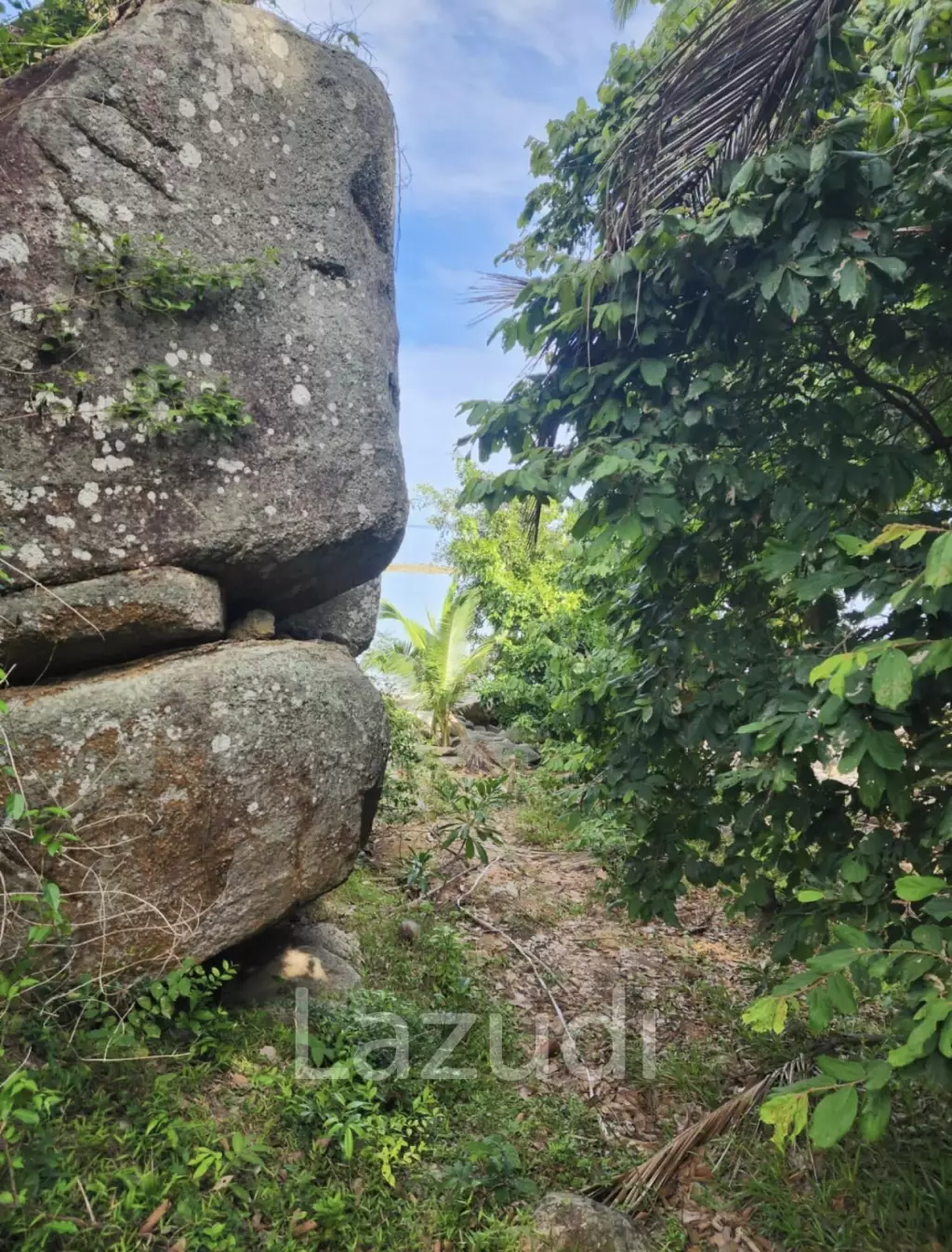 Exceptional Beachfront Land – Koh Phangan Private Sandy Beach