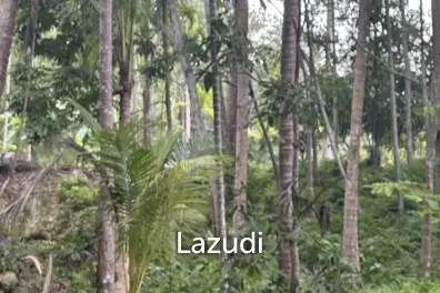 2 Rai Strategically Located Just 2 Minutes from Chaloklum