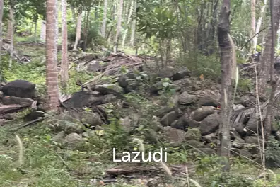 2 Rai Strategically Located Just 2 Minutes from Chaloklum