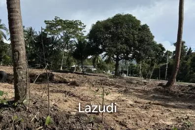 Plots for Sale – Prime Location, Thong Sala