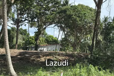 Plots for Sale – Prime Location, Thong Sala