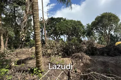 Plots for Sale – Prime Location, Thong Sala
