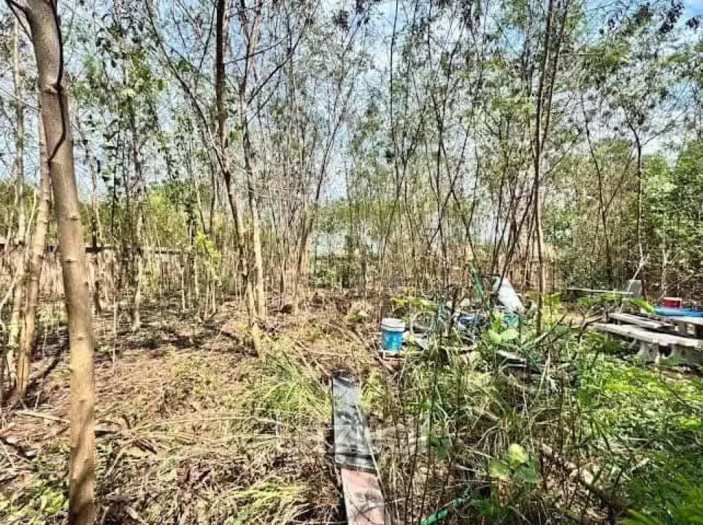 Prime Land Plot 207 Sq. Wah Near Mabprachan Lake
