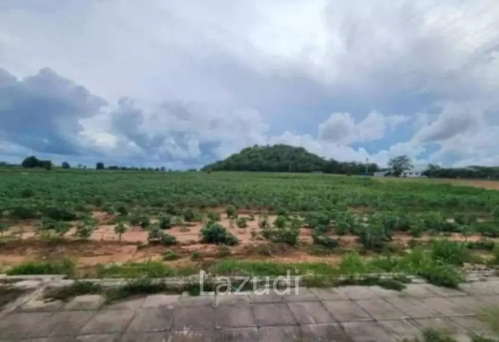 Prime Roadside Land Plot 12+ Rai in Thung Klom-Talman
