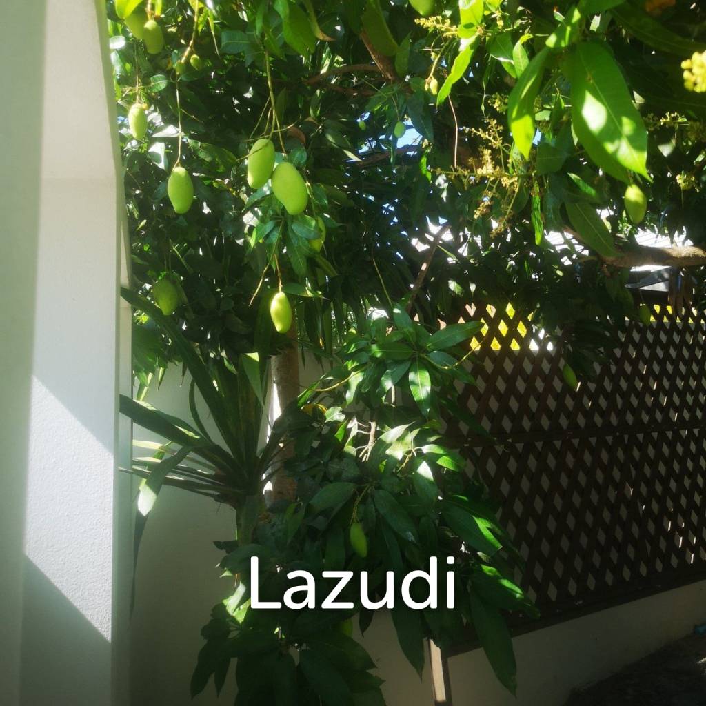 Pet Friendly 3 bedrooms house in beautifully Emerald Scenery