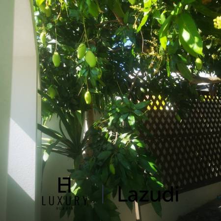 616 qm 3 Bett 3 Bad Villa Für Miete