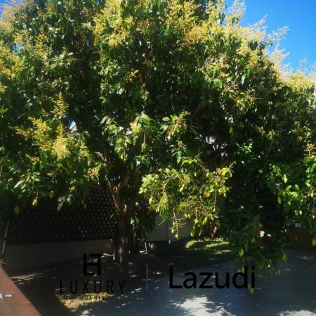 616 qm 3 Bett 3 Bad Villa Für Miete