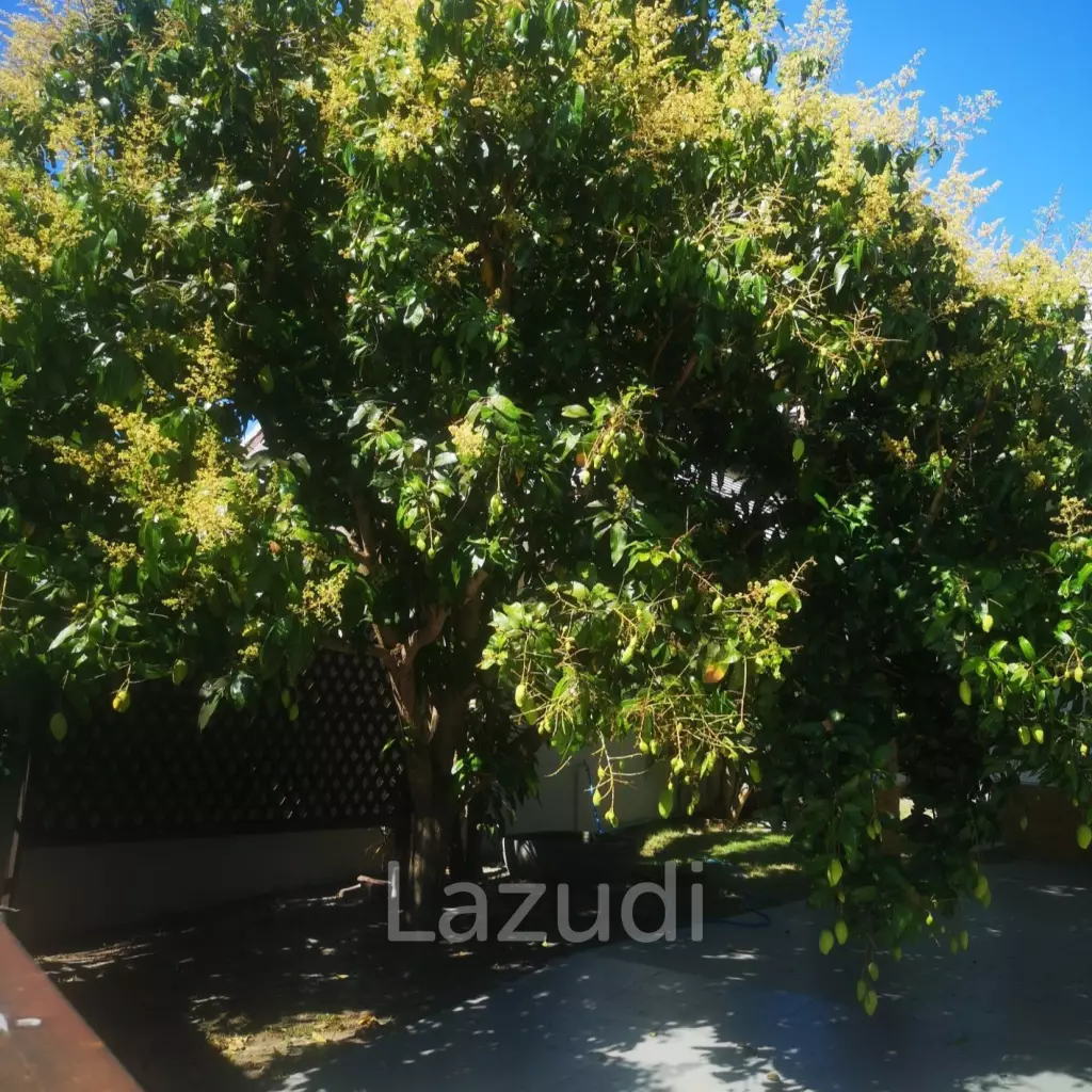 Pet Friendly 3 bedrooms house in beautifully Emerald Scenery