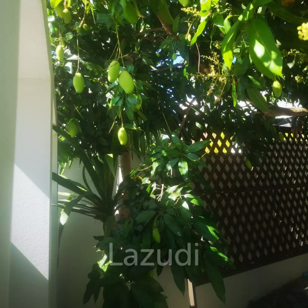 Pet Friendly 3 bedrooms house in beautifully Emerald Scenery