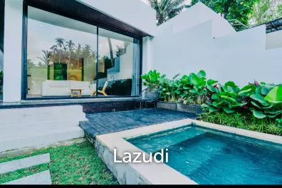 Brand New 1 Bedroom Riverside Villa for Sale In Ubud Bali