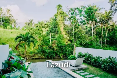 Brand New 1 Bedroom Riverside Villa for Sale In Ubud Bali