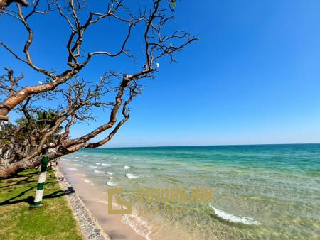 Strandlage / 5 Schlafzimmer / 229 qm Wohnfläche