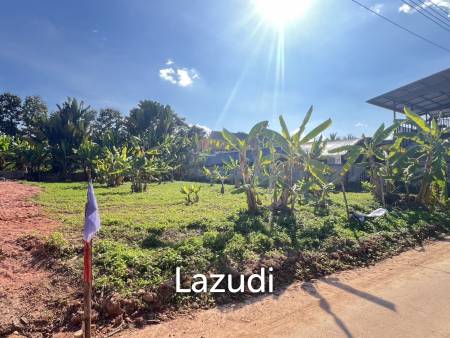 400 SQ.M. Land for sale Near to Chiang Rai City in Rim Kok.