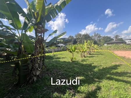 400 SQ.M. Land for sale Near to Chiang Rai City in Rim Kok.