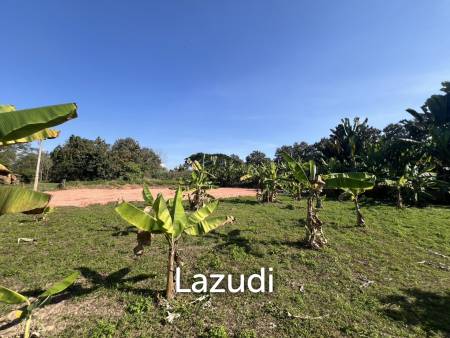 400 SQ.M. Land for sale Near to Chiang Rai City in Rim Kok.